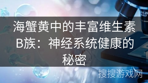 海蟹黄中的丰富维生素B族:神经系统健康的秘密