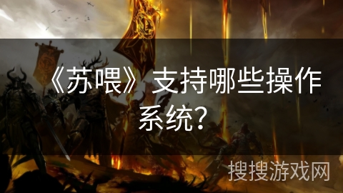 《苏喂》支持哪些操作系统? 《苏喂》支持哪些操作系统?
