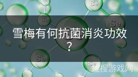 雪梅有何抗菌消炎功效？