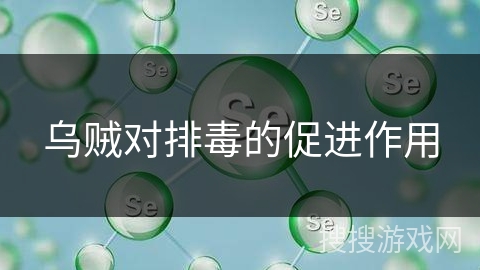 乌贼对排毒的促进作用