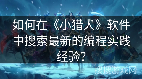 如何在《小猎犬》软件中搜索最新的编程实践经验？