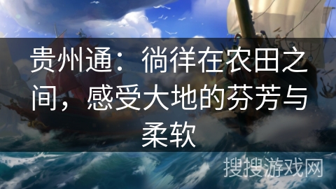 贵州通:徜徉在农田之间,感受大地的芬芳与柔软 贵州通:徜徉在农田之间,感受大地的芬芳与柔软
