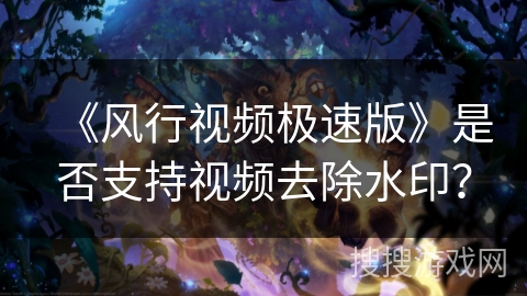 《风行视频极速版》是否支持视频去除水印？