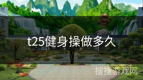 t25健身操做多久