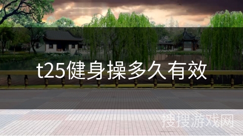 t25健身操多久有效