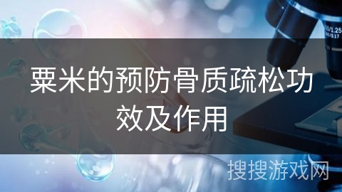 粟米的预防骨质疏松功效及作用