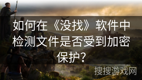如何在《没找》软件中检测文件是否受到加密保护？