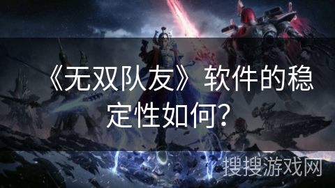 《无双队友》软件的稳定性如何？