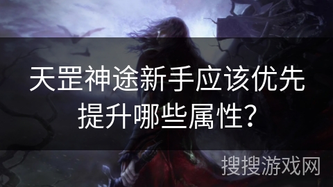 天罡神途新手应该优先提升哪些属性？
