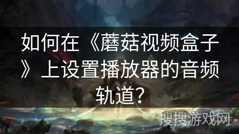 如何在《蘑菇视频盒子》上设置播放器的音频轨道？