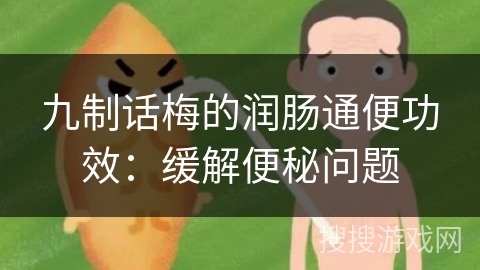 九制话梅的润肠通便功效：缓解便秘问题