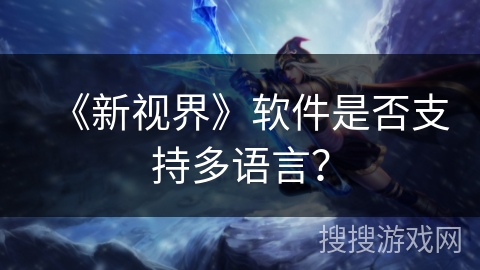 《新视界》软件是否支持多语言？