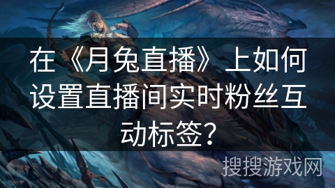 在《月兔直播》上如何设置直播间实时粉丝互动标签？