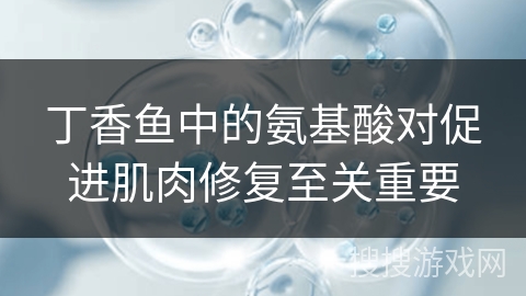 丁香鱼中的氨基酸对促进肌肉修复至关重要