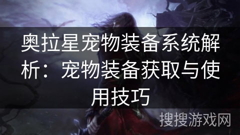 奥拉星宠物装备系统解析：宠物装备获取与使用技巧