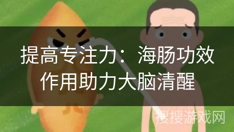 提高专注力:海肠功效作用助力大脑清醒