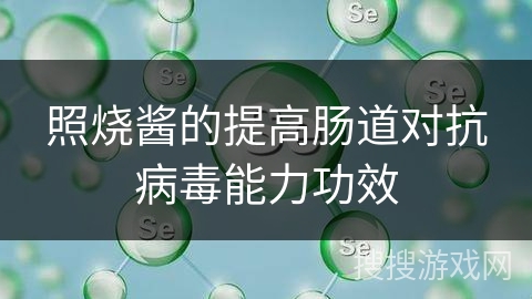 照烧酱的提高肠道对抗病毒能力功效