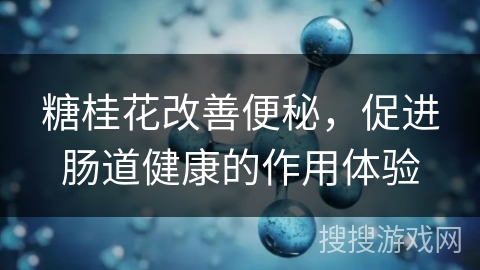 糖桂花改善便秘,促进肠道健康的作用体验