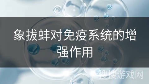 象拔蚌对免疫系统的增强作用