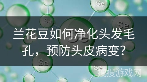兰花豆如何净化头发毛孔，预防头皮病变？