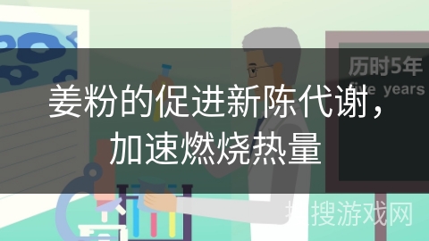 姜粉的促进新陈代谢，加速燃烧热量