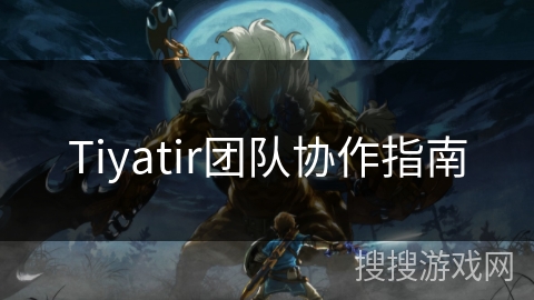 Tiyatir团队协作指南