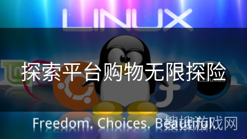 探索平台购物无限探险
