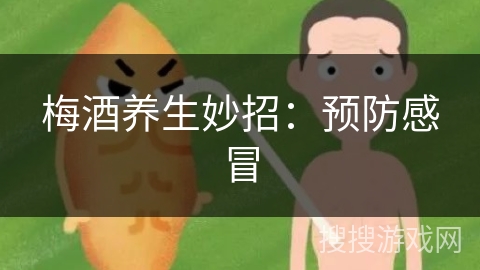 梅酒养生妙招：预防感冒