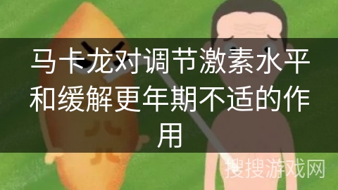 马卡龙对调节激素水平和缓解更年期不适的作用