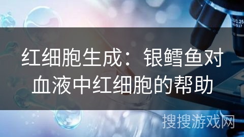 红细胞生成：银鳕鱼对血液中红细胞的帮助