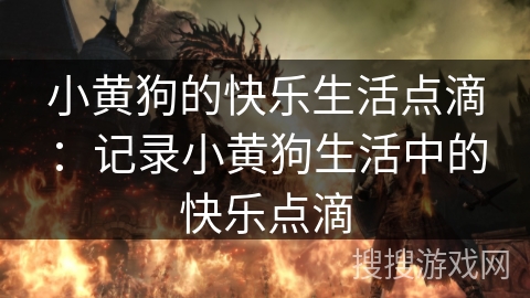 小黄狗的快乐生活点滴:记录小黄狗生活中的快乐点滴 小黄狗的快乐生活点滴:记录小黄狗生活中的快乐点滴