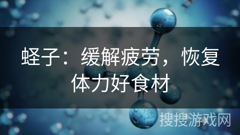蛏子：缓解疲劳，恢复体力好食材