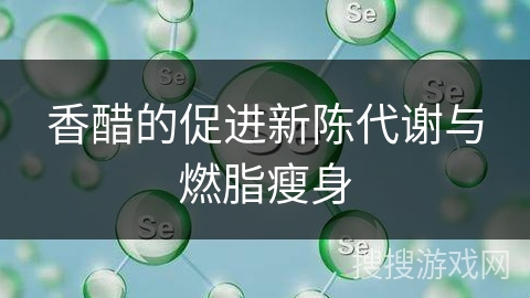 香醋的促进新陈代谢与燃脂瘦身