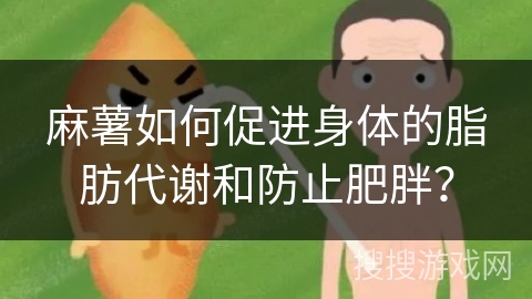 麻薯如何促进身体的脂肪代谢和防止肥胖？