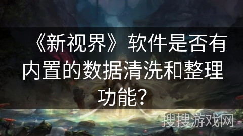 《新视界》软件是否有内置的数据清洗和整理功能？