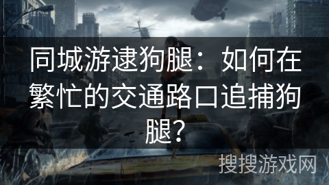 同城游逮狗腿：如何在繁忙的交通路口追捕狗腿？