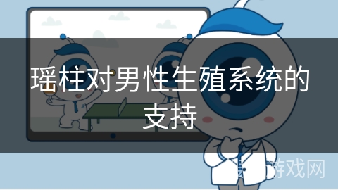 瑶柱对男性生殖系统的支持