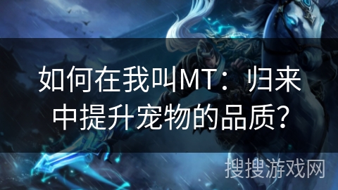 如何在我叫MT：归来中提升宠物的品质？