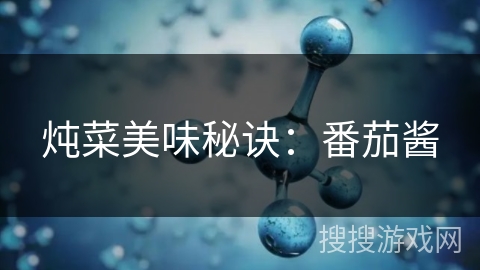 炖菜美味秘诀:番茄酱