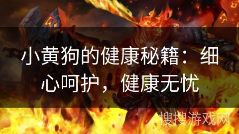 小黄狗的健康秘籍：细心呵护，健康无忧