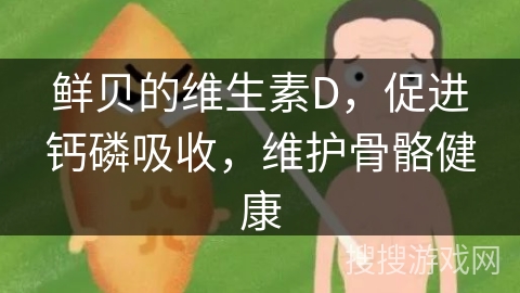 鲜贝的维生素D,促进钙磷吸收,维护骨骼健康