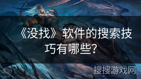 《没找》软件的搜索技巧有哪些？