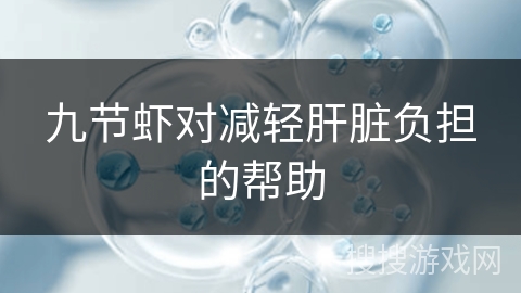 九节虾对减轻肝脏负担的帮助