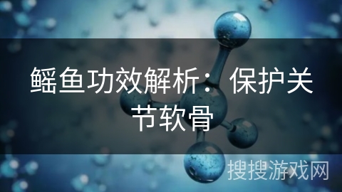鳐鱼功效解析：保护关节软骨