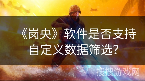 《岗央》软件是否支持自定义数据筛选？