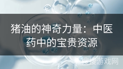 猪油的神奇力量：中医药中的宝贵资源