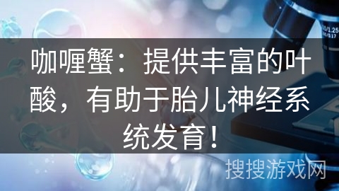 咖喱蟹：提供丰富的叶酸，有助于胎儿神经系统发育！