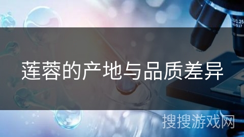 莲蓉的产地与品质差异