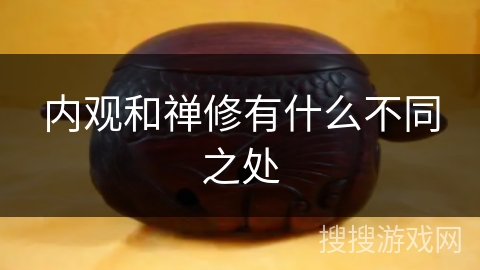 内观和禅修有什么不同之处