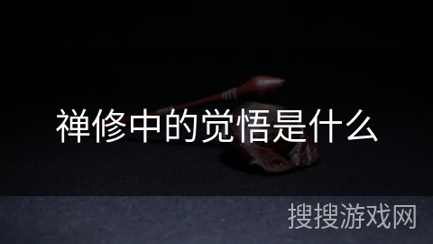 禅修中的觉悟是什么